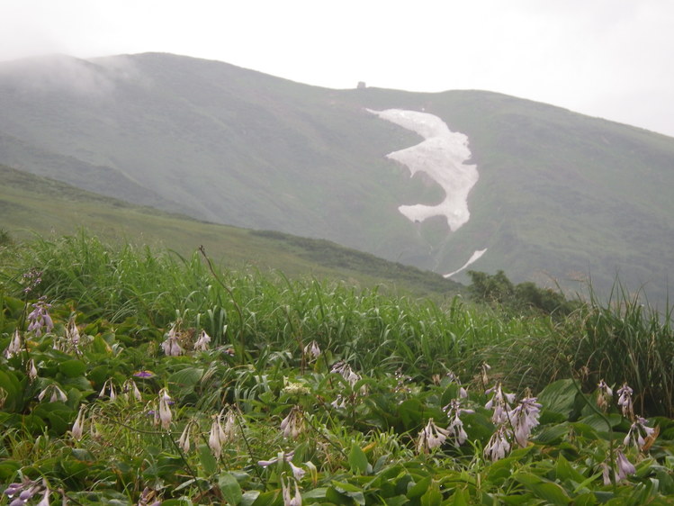 f0118332_1112963.jpg