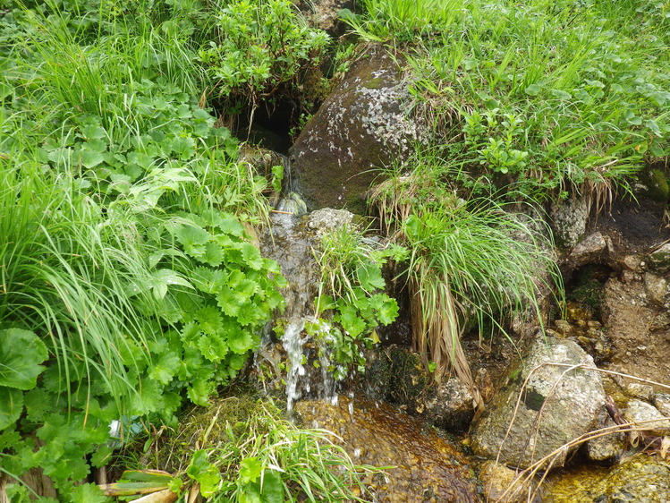 f0118332_11441440.jpg