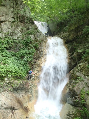 d0107938_12391150.jpg