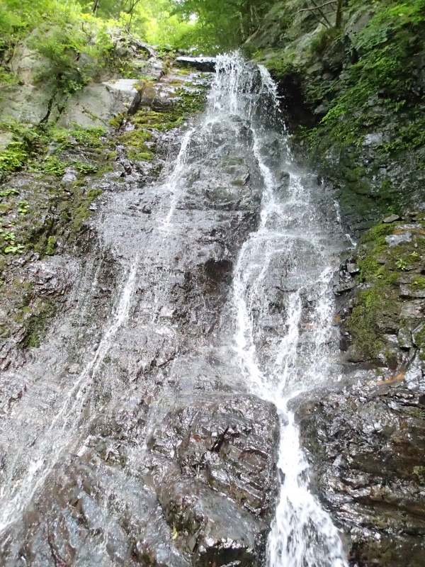 b0190242_12224930.jpg