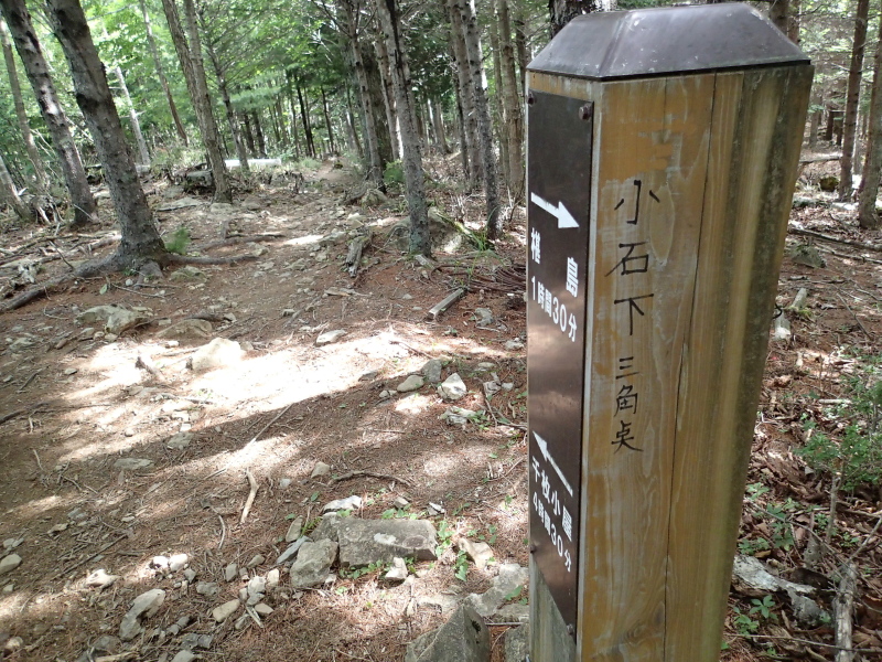b0190242_12242066.jpg