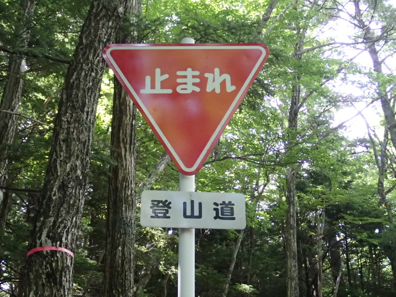 b0190242_1224595.jpg