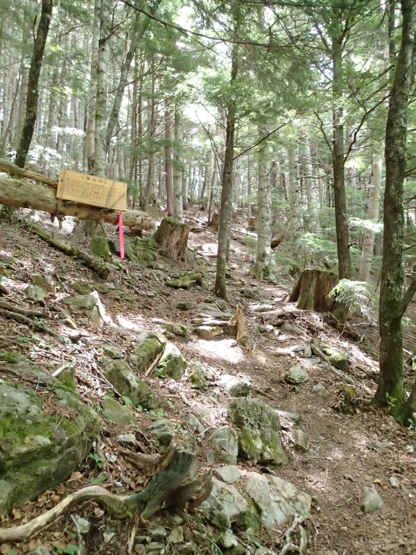 b0190242_12255428.jpg