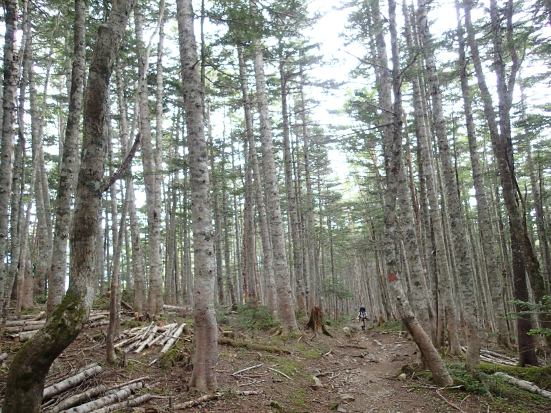 b0190242_1228724.jpg