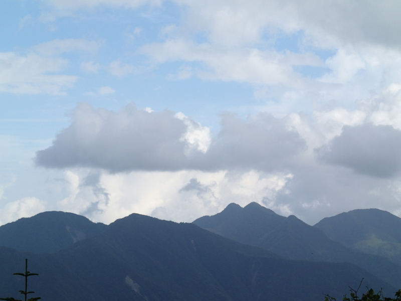 b0190242_12313682.jpg