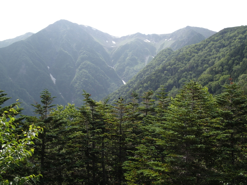 b0190242_12574355.jpg