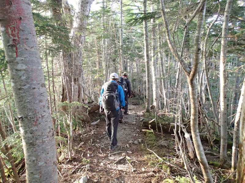 b0190242_1312081.jpg