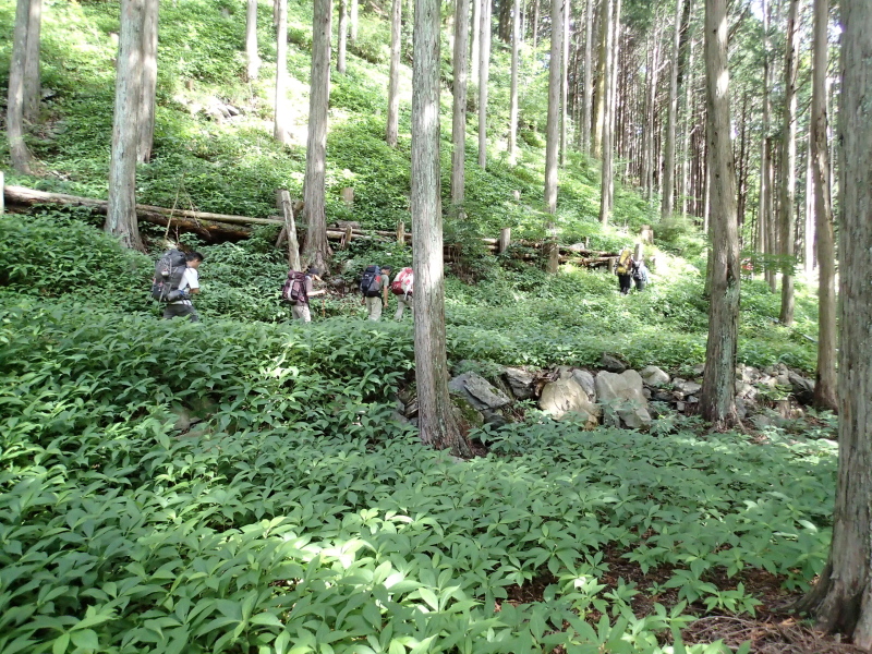 b0190242_13121978.jpg