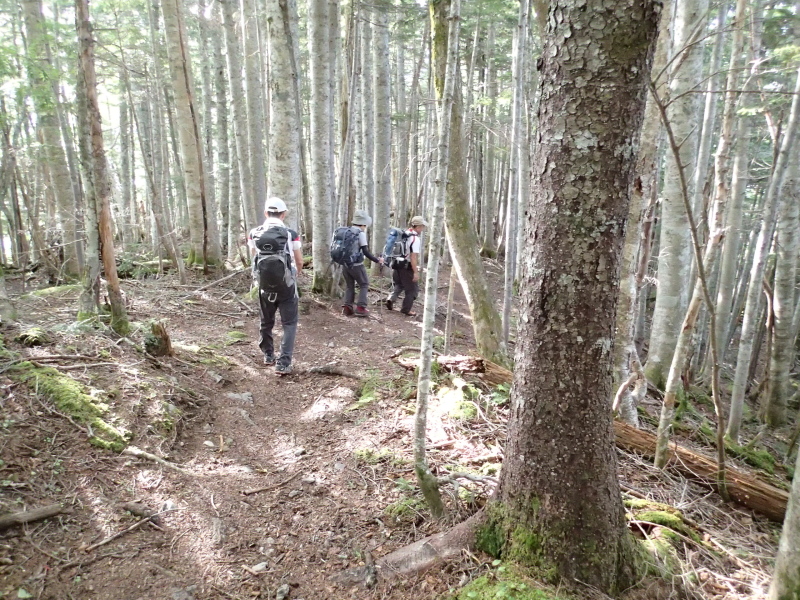 b0190242_1322669.jpg