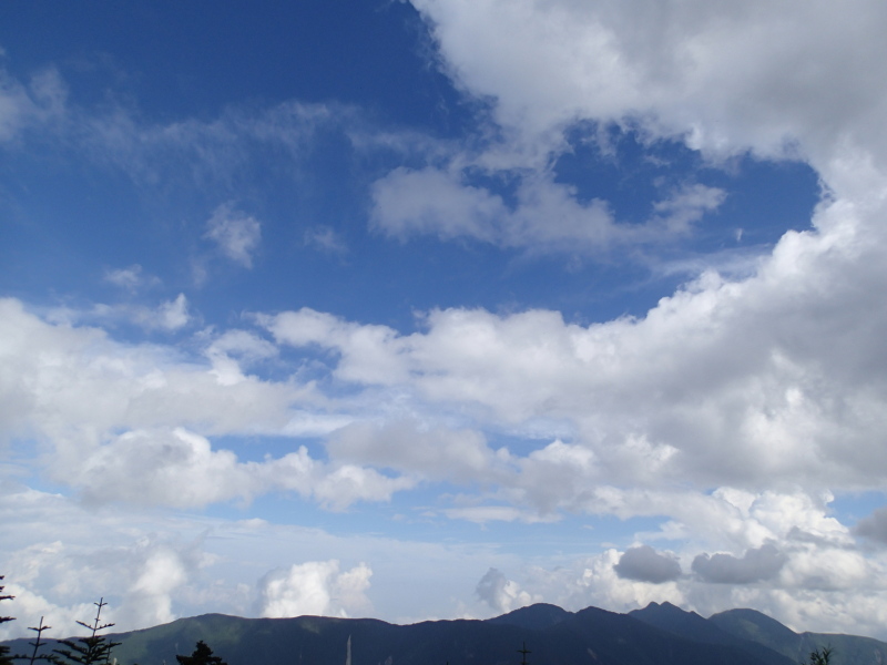 b0190242_1364130.jpg