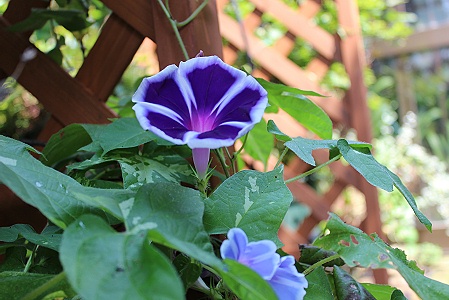a0243143_1914393.jpg