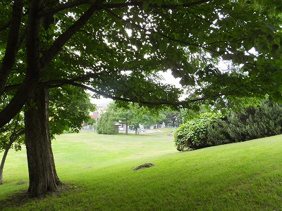 e0173645_1810521.jpg