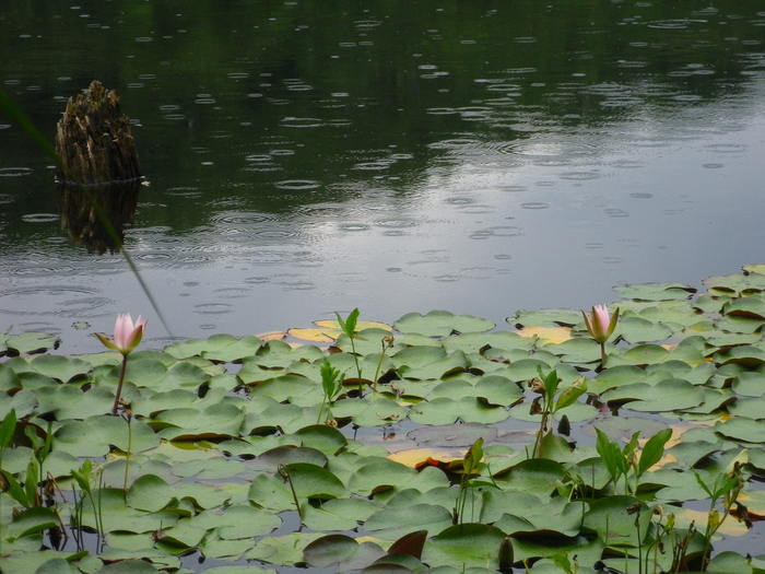 f0000148_20192024.jpg