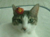 c0052756_19261685.jpg
