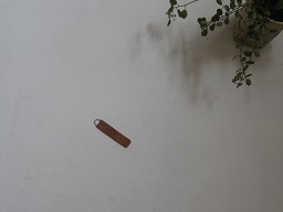 a0121260_10385861.jpg
