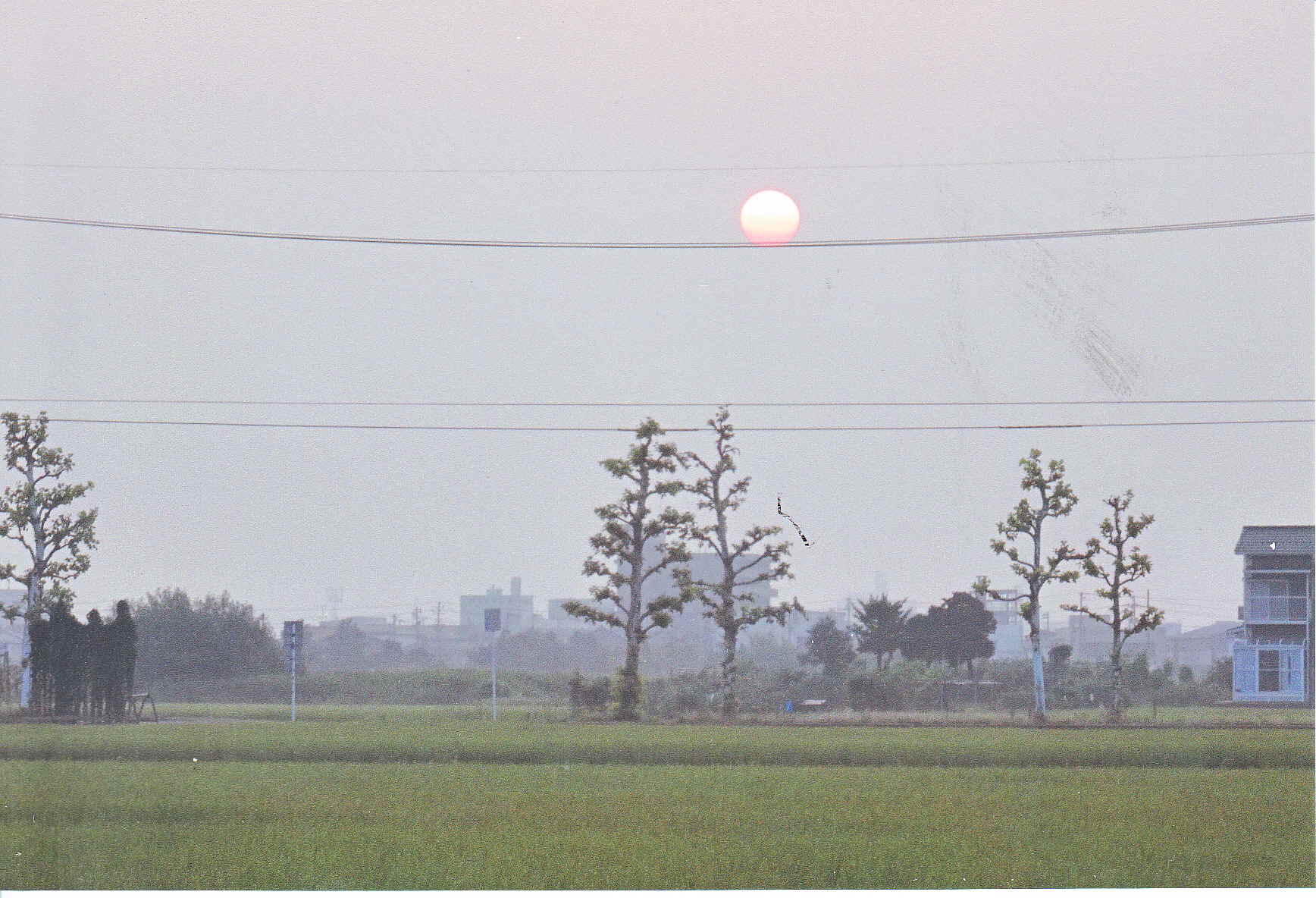 e0327460_742742.jpg