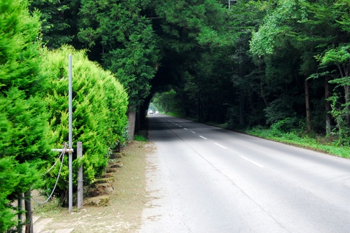 e0151566_0222472.jpg