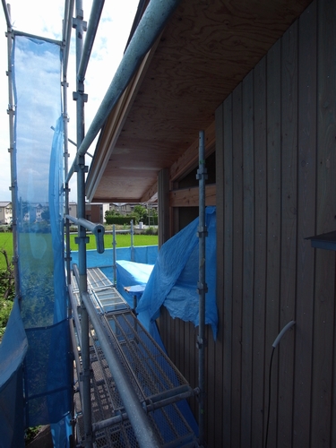 c0166668_950784.jpg