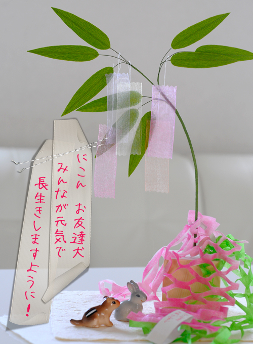c0026870_17154993.jpg