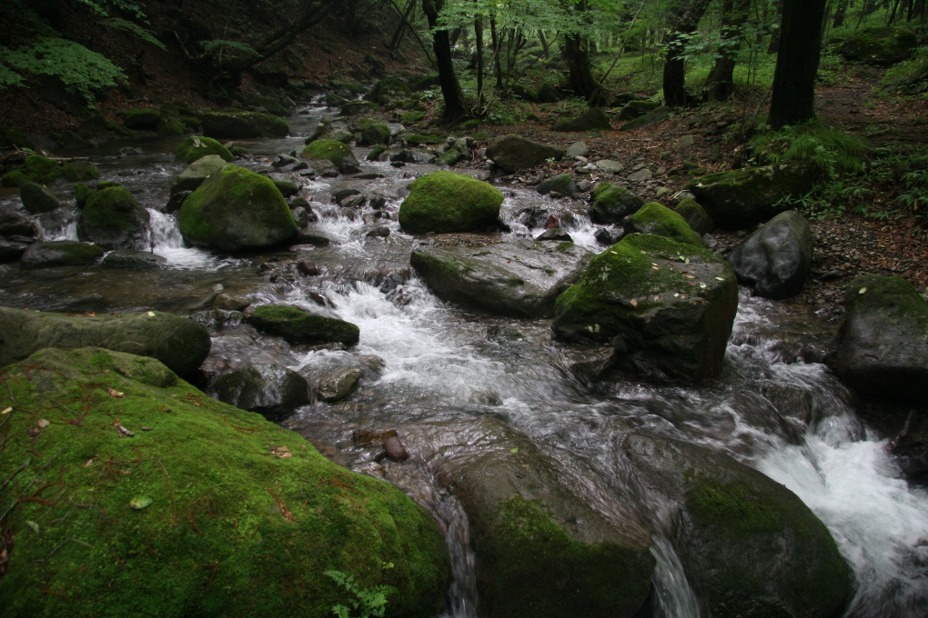 e0118274_2103217.jpg