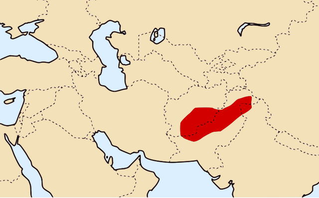e0040579_1752481.png
