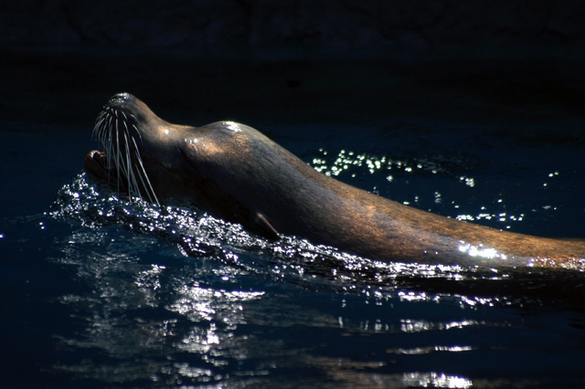 f0014380_2322967.jpg