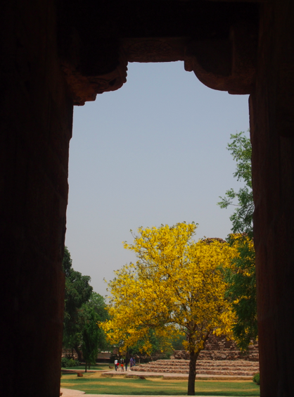 a0146493_21504069.png