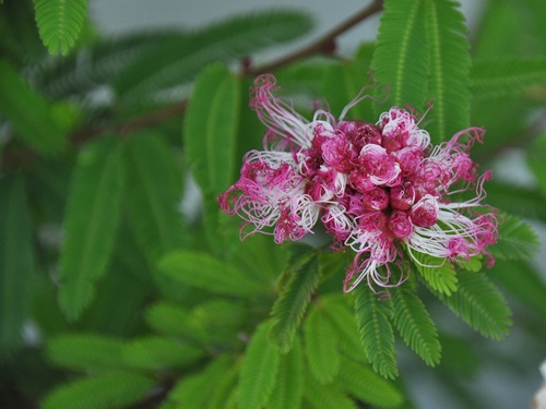f0176499_7195834.jpg