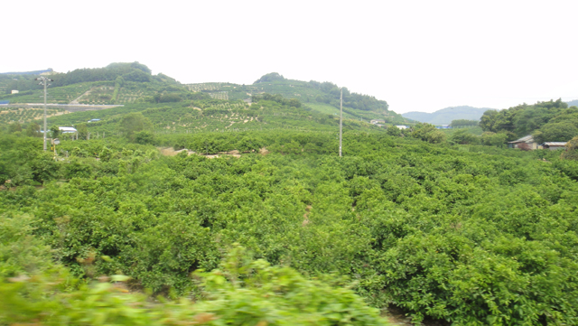 d0004301_23513014.jpg