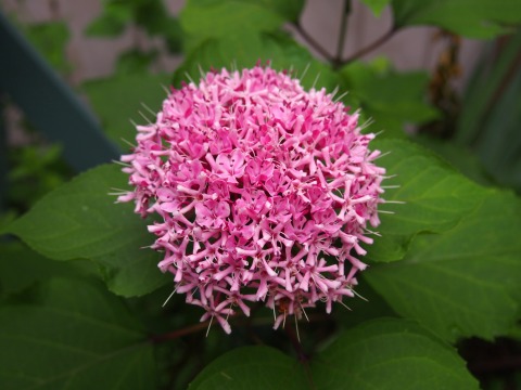 c0117007_22233696.jpg