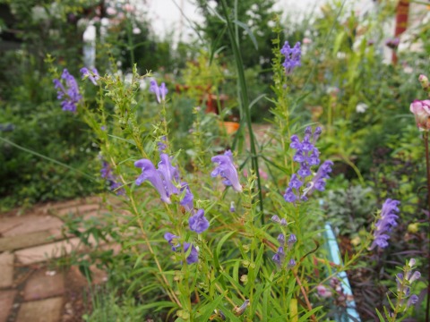 c0117007_2228436.jpg