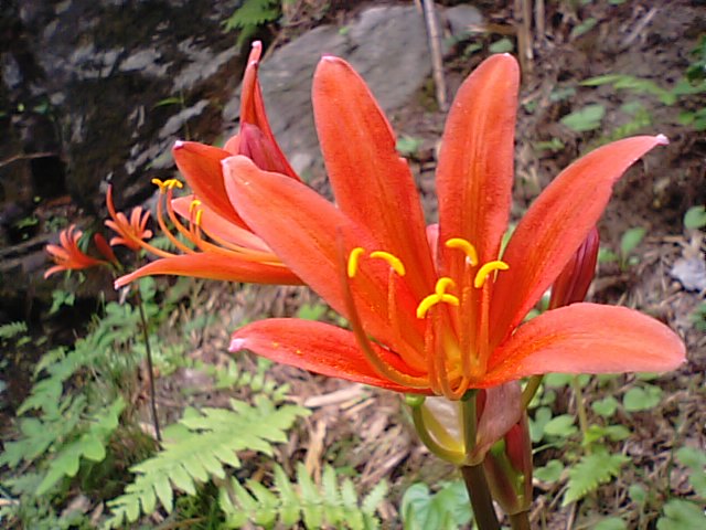 f0231709_7355952.jpg