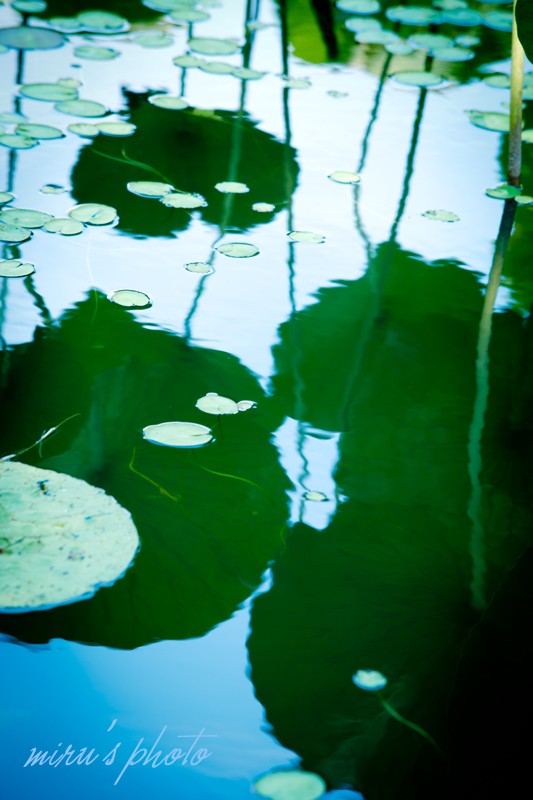c0037519_12304688.jpg