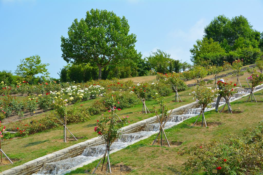 d0109428_10545898.jpg