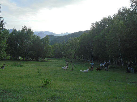 f0094843_11382636.jpg