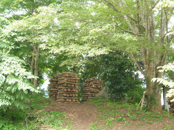 e0255748_16574457.jpg