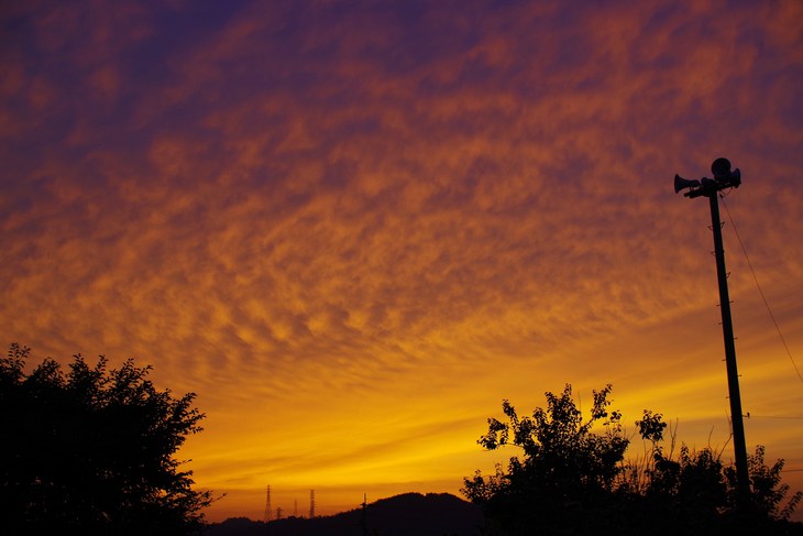 a0299749_22281819.jpg