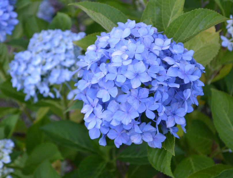 a0055650_047199.jpg