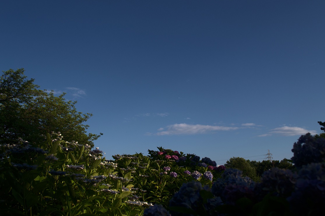 a0055650_0481782.jpg