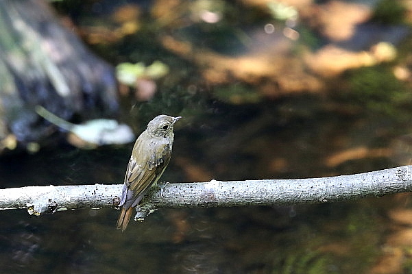 f0215964_8554097.jpg