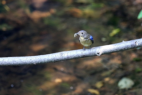 f0215964_855579.jpg
