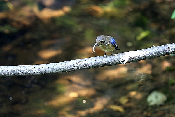 f0215964_8561561.jpg