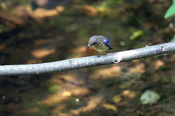f0215964_856337.jpg