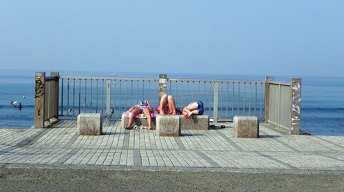 c0248467_1457294.jpg