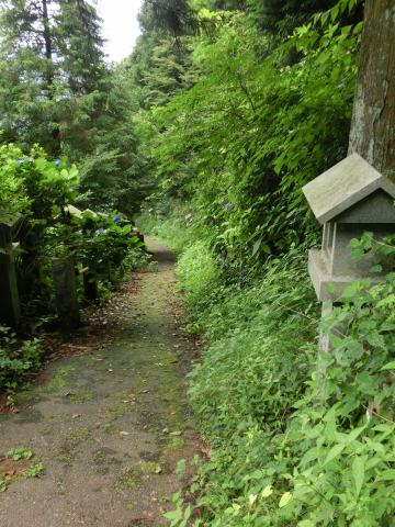 e0045768_22124433.jpg