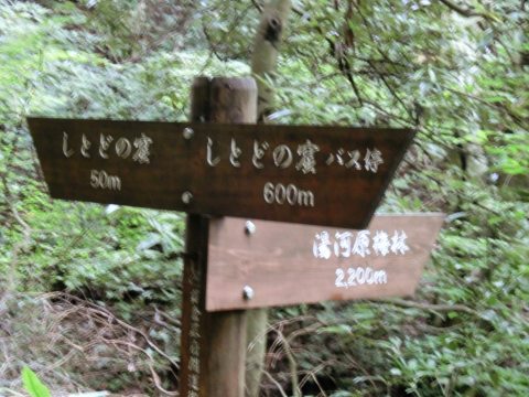 e0045768_22132469.jpg