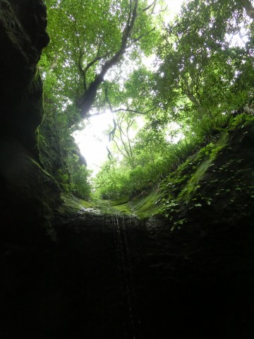 e0045768_2219399.jpg