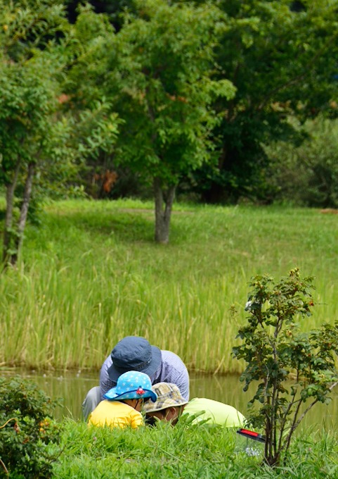 f0065768_23202386.jpg