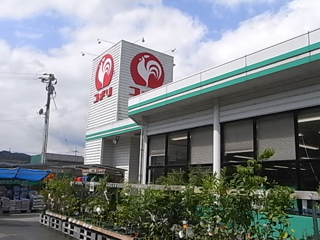 a0146070_6202895.jpg