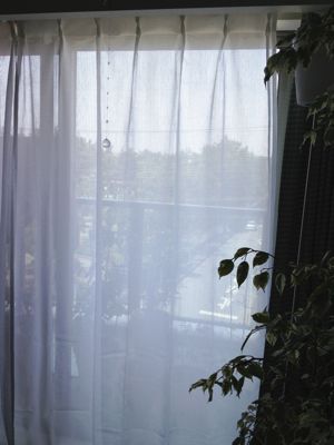e0217871_1555186.jpg